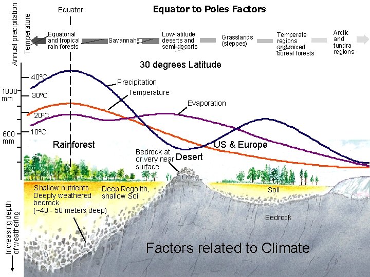 Temperature Annual precipitation Equatorial and tropical rain forests Low-latitude deserts and semi-deserts Savannahs Temperate
