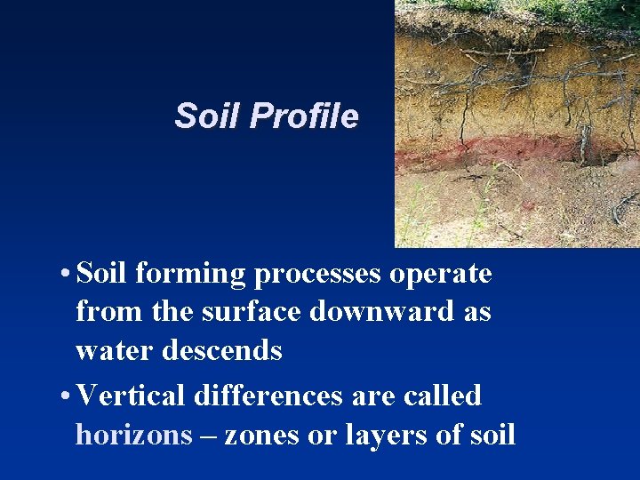 Soil Profile • Soil forming processes operate from the surface downward as water descends