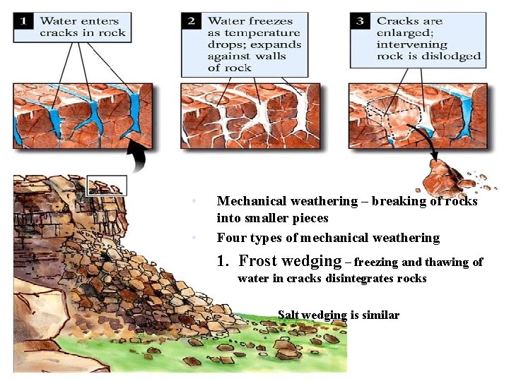  • • Mechanical weathering – breaking of rocks into smaller pieces Four types