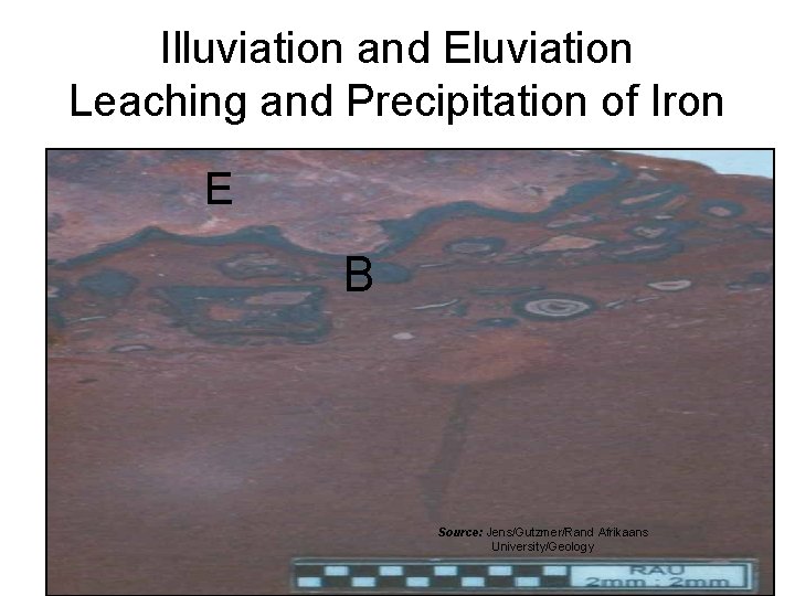 Illuviation and Eluviation Leaching and Precipitation of Iron E B Source: Jens/Gutzmer/Rand Afrikaans University/Geology