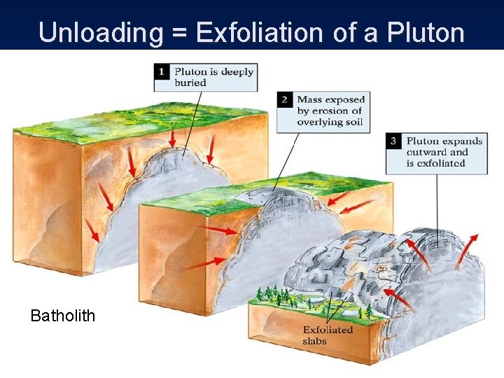 Unloading = Exfoliation of a Pluton Batholith 