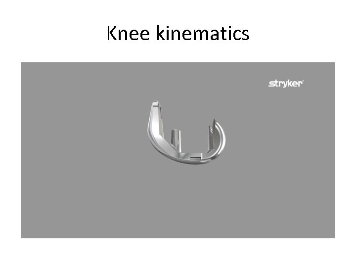 Knee kinematics 