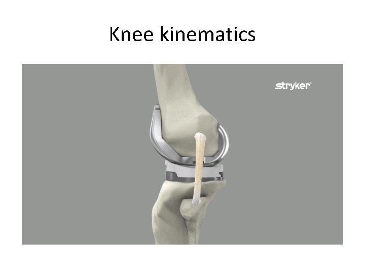 Knee kinematics 