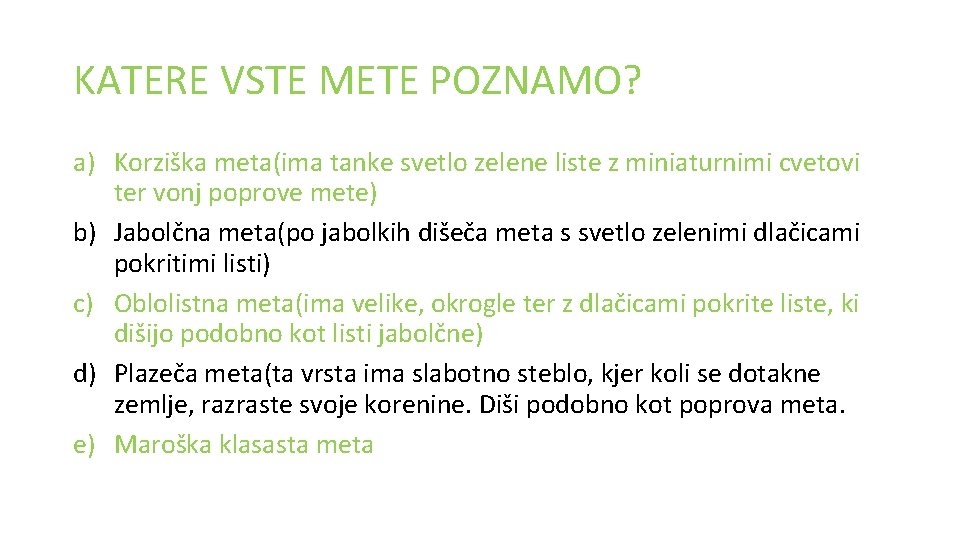 KATERE VSTE METE POZNAMO? a) Korziška meta(ima tanke svetlo zelene liste z miniaturnimi cvetovi