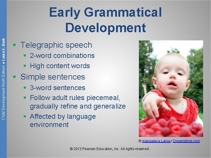 Child Development Ninth Edition ● Laura E. Berk Early Grammatical Development § Telegraphic speech