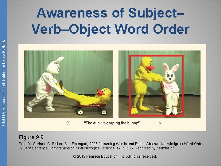 Child Development Ninth Edition ● Laura E. Berk Awareness of Subject– Verb–Object Word Order
