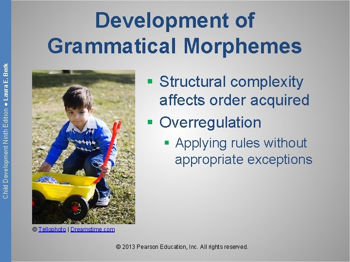 Child Development Ninth Edition ● Laura E. Berk Development of Grammatical Morphemes § Structural