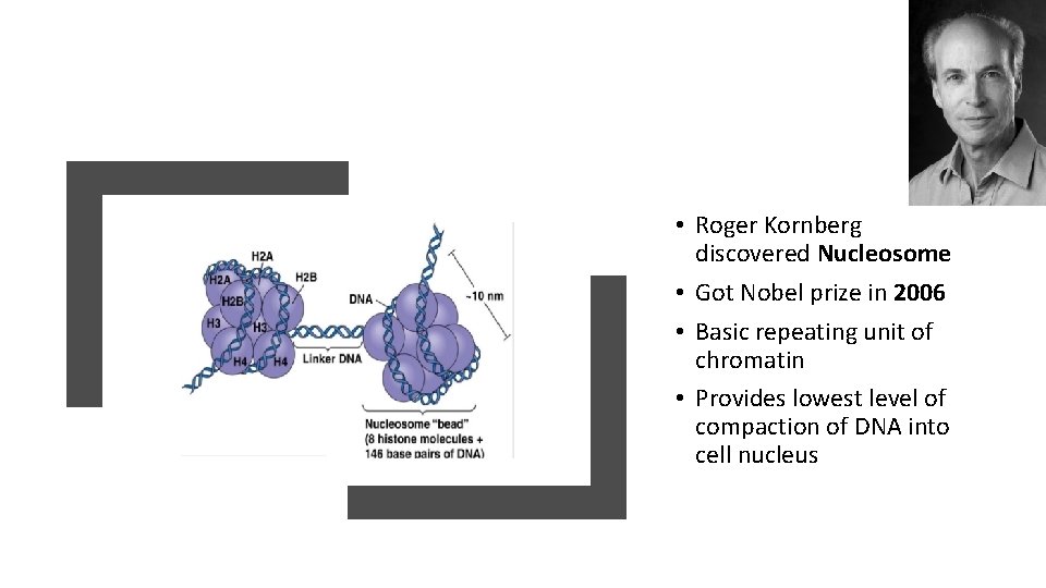  • Roger Kornberg discovered Nucleosome • Got Nobel prize in 2006 • Basic