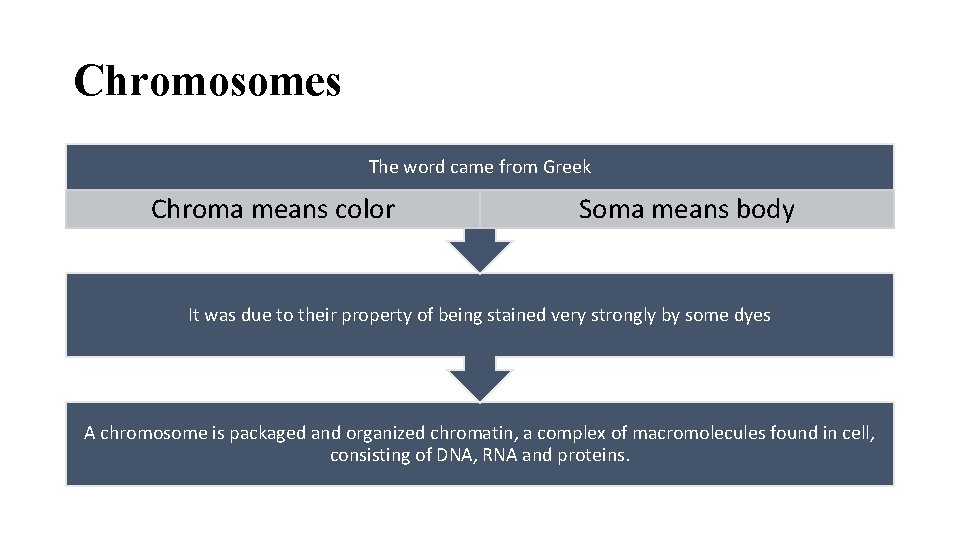 Chromosomes The word came from Greek Chroma means color Soma means body It was