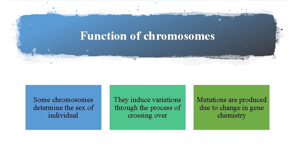Function of chromosomes Some chromosomes determine the sex of individual They induce variations through