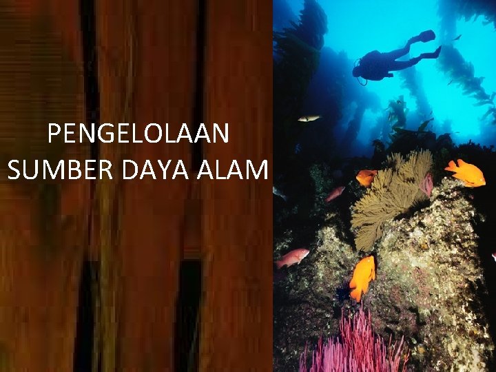 PENGELOLAAN SUMBER DAYA ALAM 