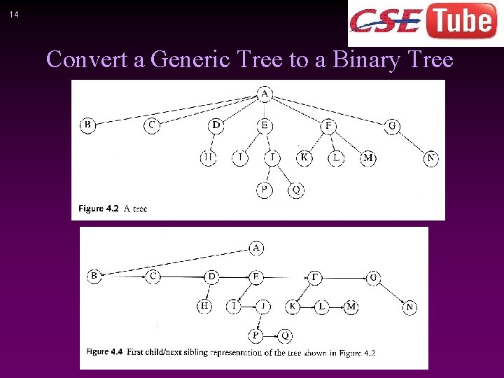 14 Convert a Generic Tree to a Binary Tree 