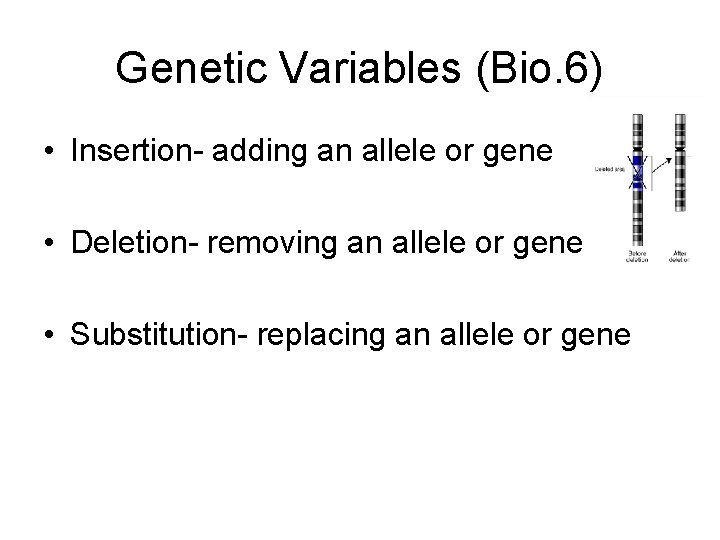 Genetic Variables (Bio. 6) • Insertion- adding an allele or gene • Deletion- removing