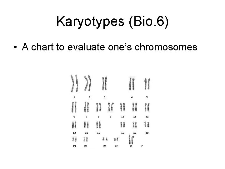 Karyotypes (Bio. 6) • A chart to evaluate one’s chromosomes 