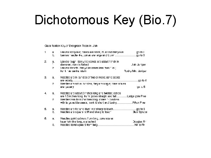 Dichotomous Key (Bio. 7) 