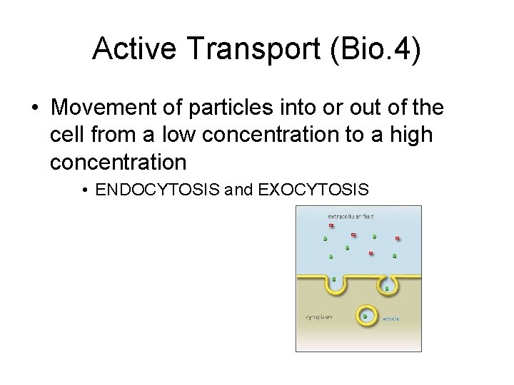 Active Transport (Bio. 4) • Movement of particles into or out of the cell