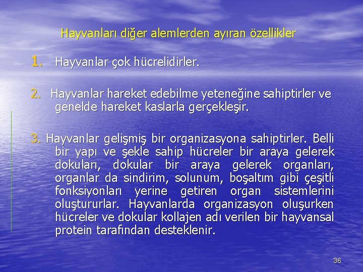 Hayvanları diğer alemlerden ayıran özellikler 1. Hayvanlar çok hücrelidirler. 2. Hayvanlar hareket edebilme yeteneğine