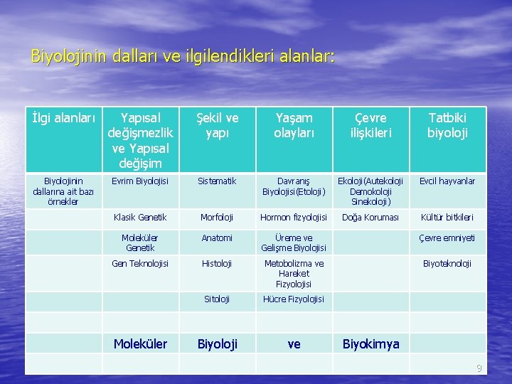 Biyolojinin dalları ve ilgilendikleri alanlar: İlgi alanları Yapısal değişmezlik ve Yapısal değişim Şekil ve