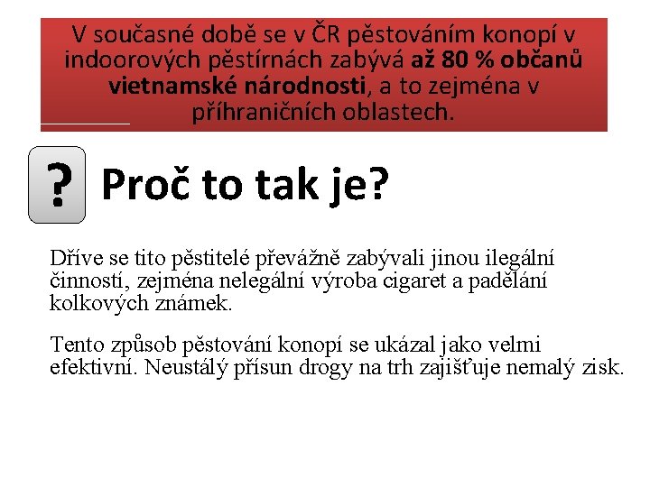 V současné době se v ČR pěstováním konopí v indoorových pěstírnách zabývá až 80