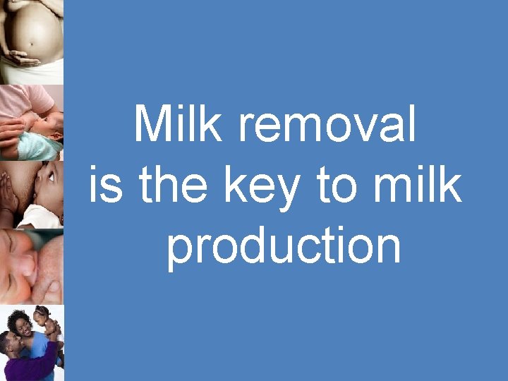 Milk removal is the key to milk production 