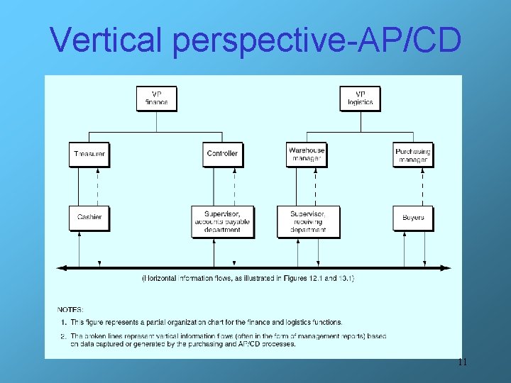 Vertical perspective-AP/CD 11 