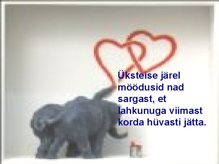 Üksteise järel möödusid nad sargast, et lahkunuga viimast korda hüvasti jätta. 