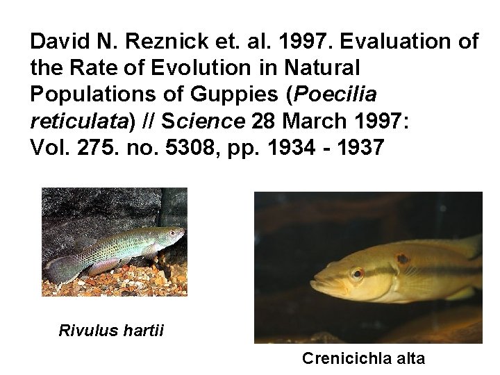 David N. Reznick et. al. 1997. Evaluation of the Rate of Evolution in Natural