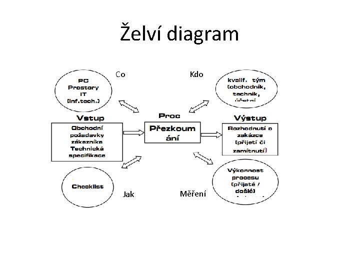 Želví diagram Co Jak Kdo Měření 