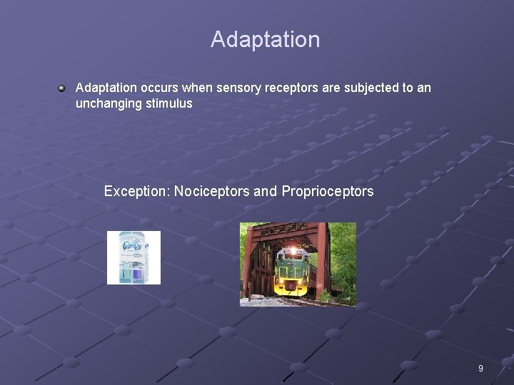 Adaptation occurs when sensory receptors are subjected to an unchanging stimulus Exception: Nociceptors and
