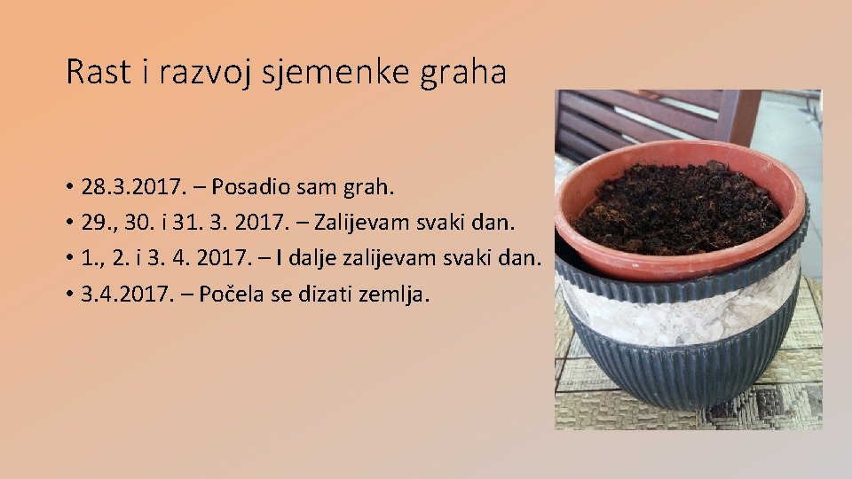 Rast i razvoj sjemenke graha • 28. 3. 2017. – Posadio sam grah. •