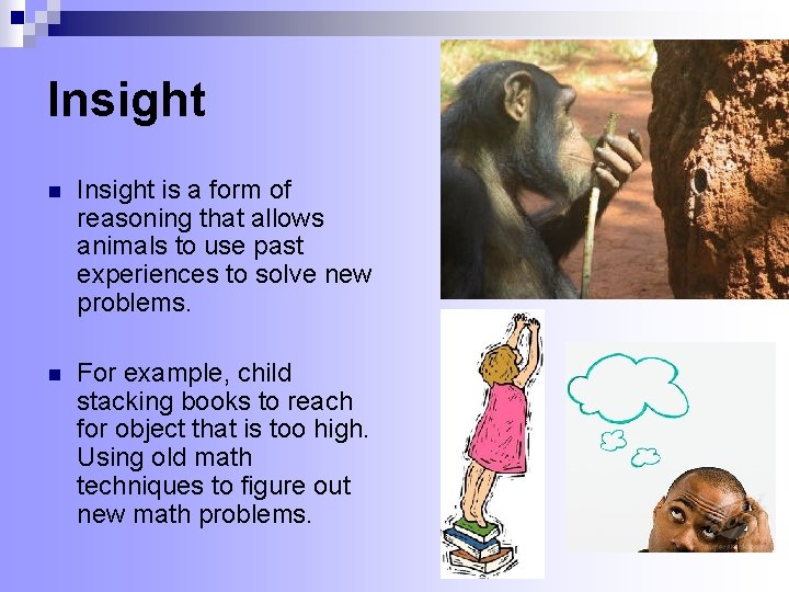 Insight n Insight is a form of reasoning that allows animals to use past Insight n Insight is a form of reasoning that allows animals to use past