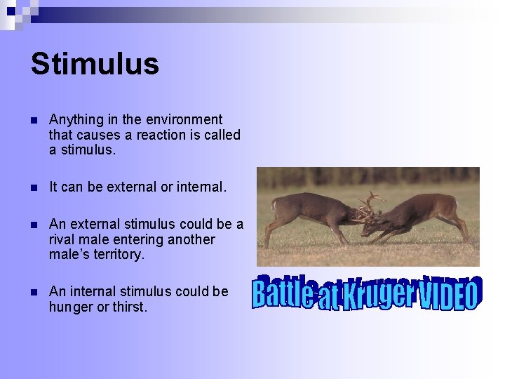 Stimulus n Anything in the environment that causes a reaction is called a stimulus. Stimulus n Anything in the environment that causes a reaction is called a stimulus.