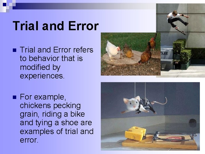 Trial and Error n Trial and Error refers to behavior that is modified by Trial and Error n Trial and Error refers to behavior that is modified by
