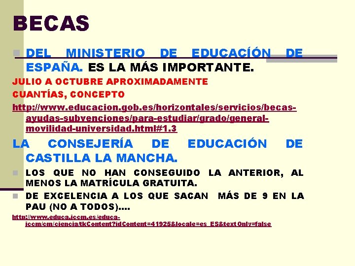 BECAS n DEL MINISTERIO DE EDUCACÍÓN ESPAÑA. ES LA MÁS IMPORTANTE. DE JULIO A