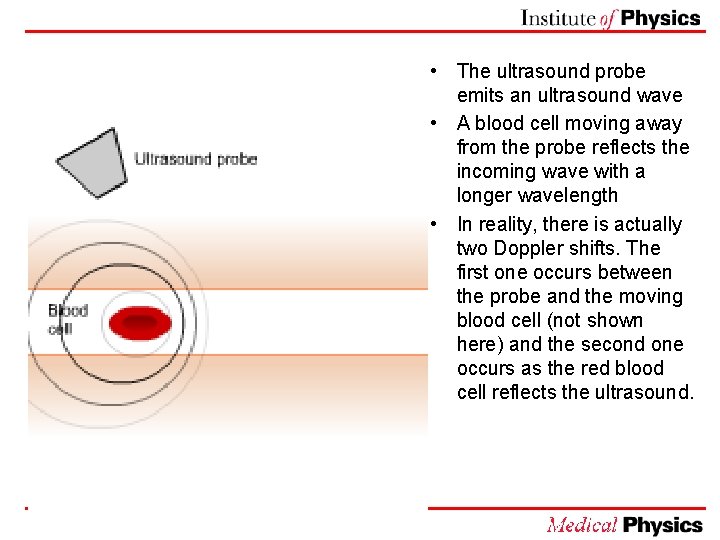  • The ultrasound probe emits an ultrasound wave • A blood cell moving