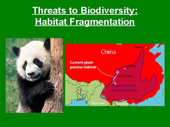 Threats to Biodiversity: Habitat Fragmentation 