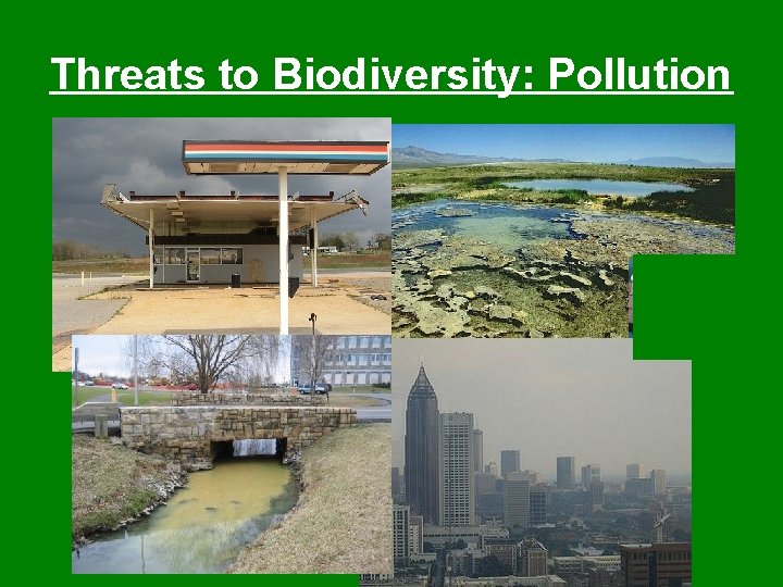 Threats to Biodiversity: Pollution 