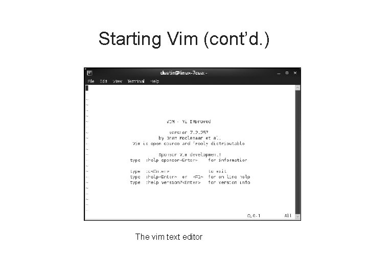 Starting Vim (cont’d. ) The vim text editor 