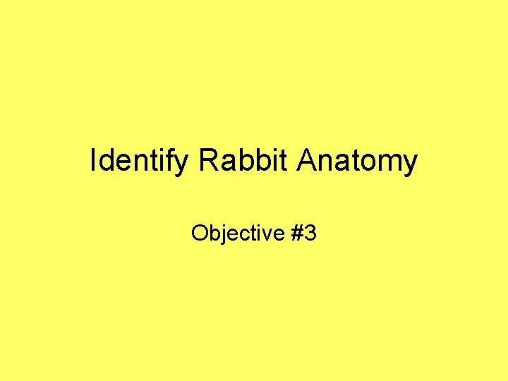 Identify Rabbit Anatomy Objective #3 