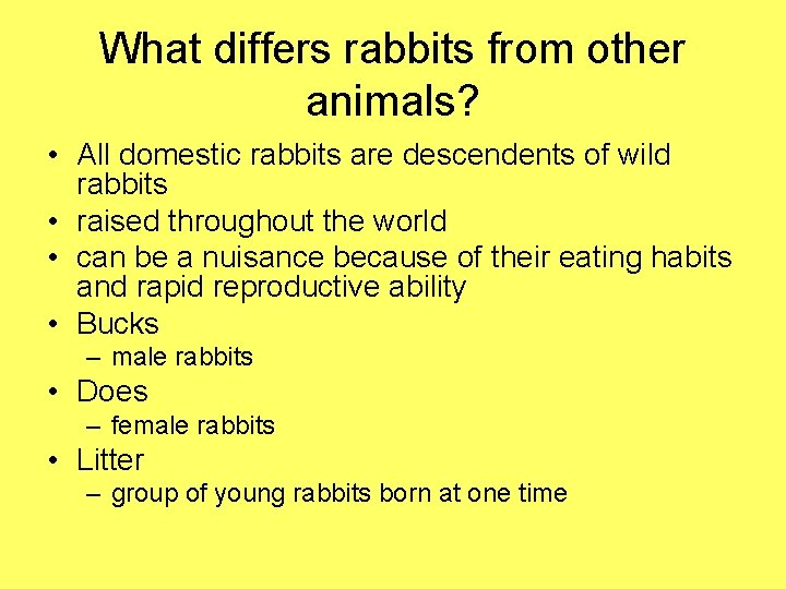 What differs rabbits from other animals? • All domestic rabbits are descendents of wild
