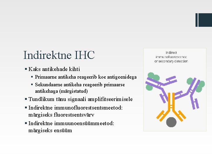 Indirektne IHC § Kaks antikehade kihti § Primaarne antikeha reageerib koe antigeenidega § Sekundaarne