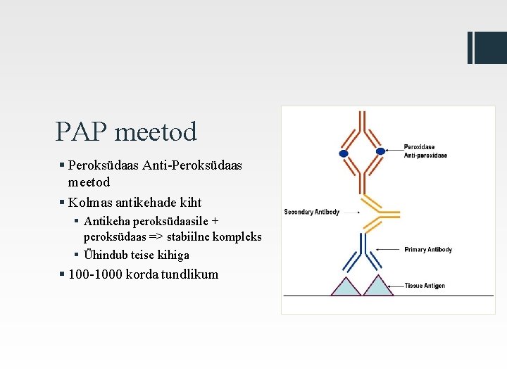 PAP meetod § Peroksüdaas Anti-Peroksüdaas meetod § Kolmas antikehade kiht § Antikeha peroksüdaasile +