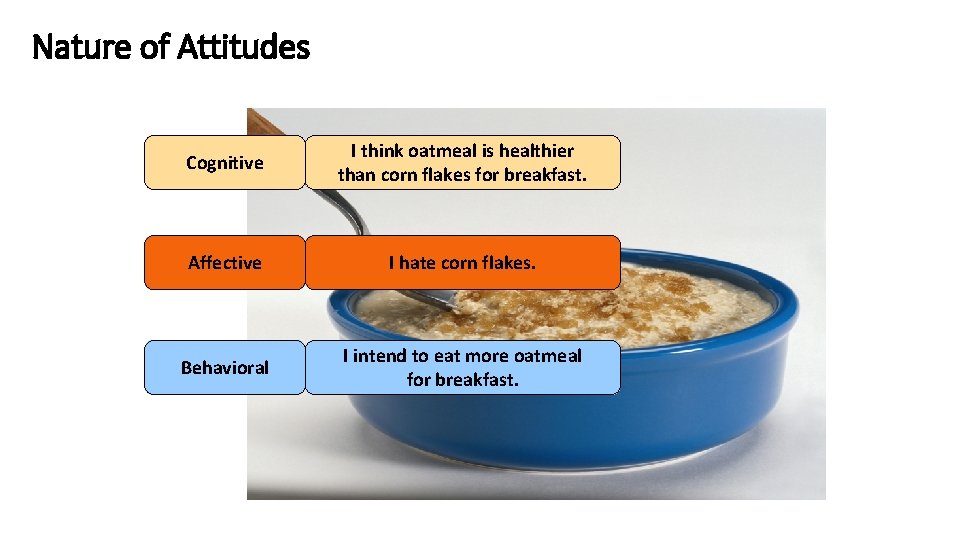 Nature of Attitudes Cognitive I think oatmeal is healthier than corn flakes for breakfast.