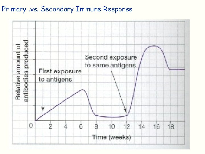 Primary. vs. Secondary Immune Response 