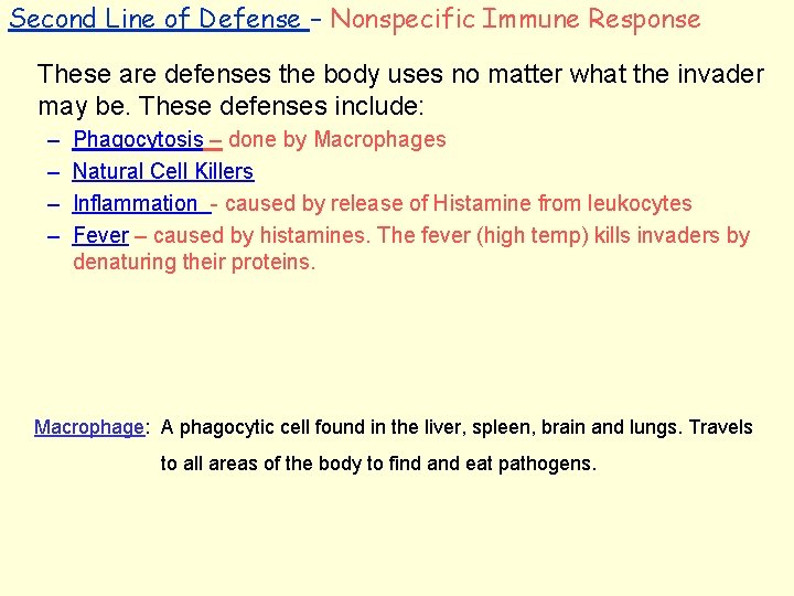 Second Line of Defense – Nonspecific Immune Response These are defenses the body uses