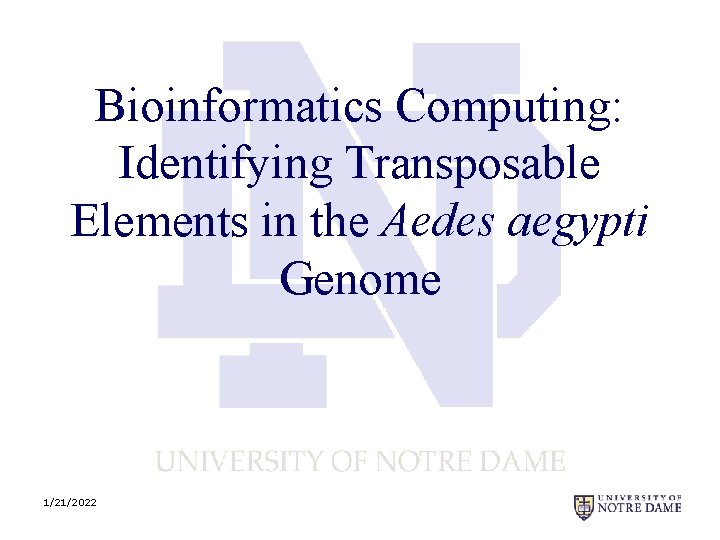 Bioinformatics Computing: Identifying Transposable Elements in the Aedes aegypti Genome 1/21/2022 