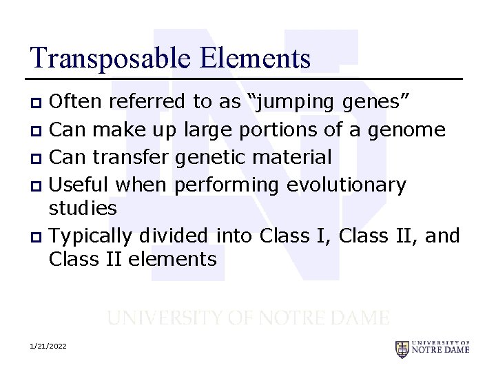 Transposable Elements Often referred to as “jumping genes” p Can make up large portions