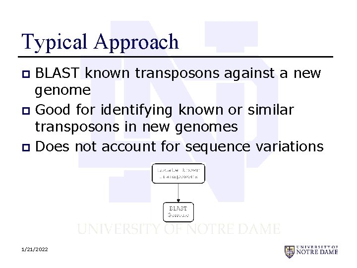 Typical Approach BLAST known transposons against a new genome p Good for identifying known
