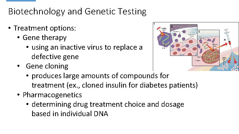 Biotechnology and Genetic Testing • Treatment options: • Gene therapy • using an inactive