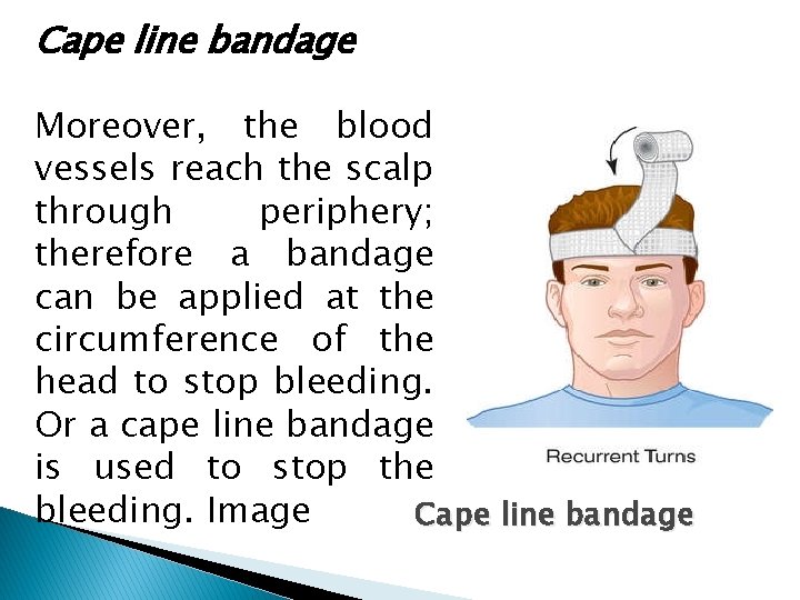 Cape line bandage Moreover, the blood vessels reach the scalp through periphery; therefore a